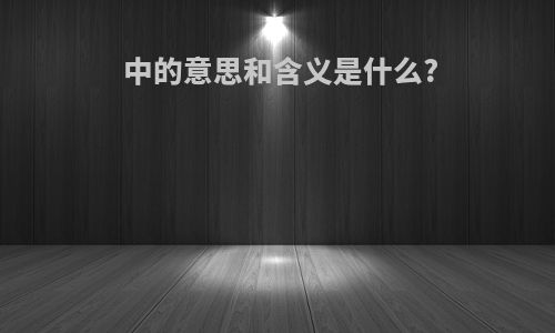 中的意思和含义是什么?