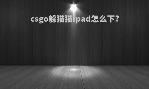 csgo躲猫猫ipad怎么下?