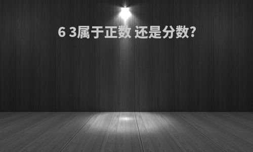 6 3属于正数 还是分数?