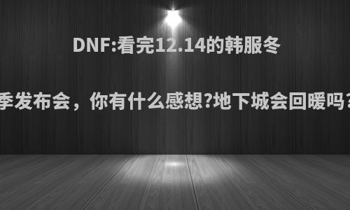 DNF:看完12.14的韩服冬季发布会，你有什么感想?地下城会回暖吗?