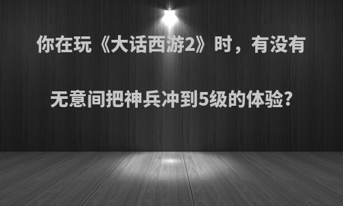 你在玩《大话西游2》时，有没有无意间把神兵冲到5级的体验?