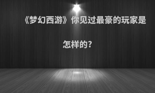 《梦幻西游》你见过最豪的玩家是怎样的?