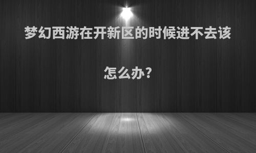 梦幻西游在开新区的时候进不去该怎么办?