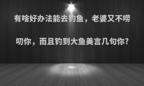 有啥好办法能去钓鱼，老婆又不唠叨你，而且钓到大鱼美言几句你?