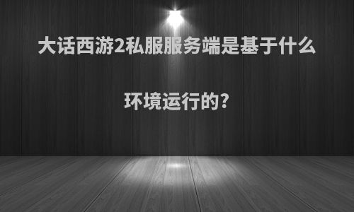 大话西游2私服服务端是基于什么环境运行的?