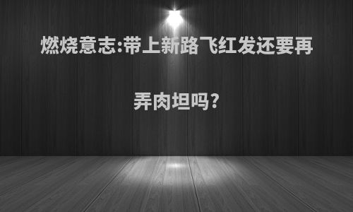 燃烧意志:带上新路飞红发还要再弄肉坦吗?