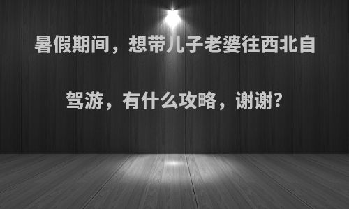 暑假期间，想带儿子老婆往西北自驾游，有什么攻略，谢谢?