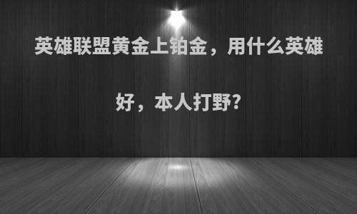 英雄联盟黄金上铂金，用什么英雄好，本人打野?