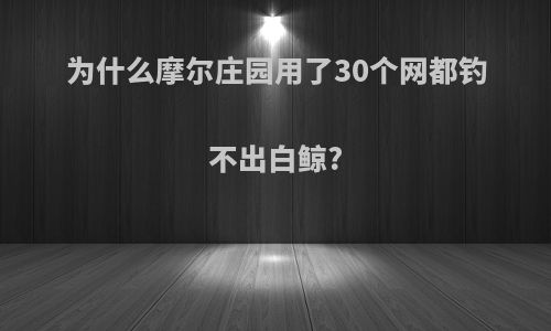 为什么摩尔庄园用了30个网都钓不出白鲸?