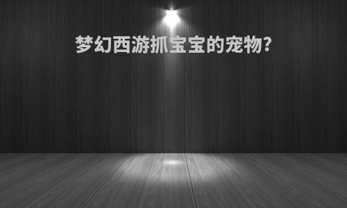 梦幻西游抓宝宝的宠物?