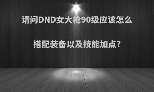 请问DND女大枪90级应该怎么搭配装备以及技能加点?