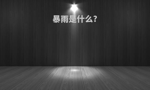 暴雨是什么?