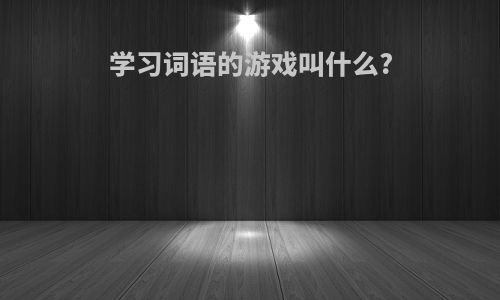 学习词语的游戏叫什么?