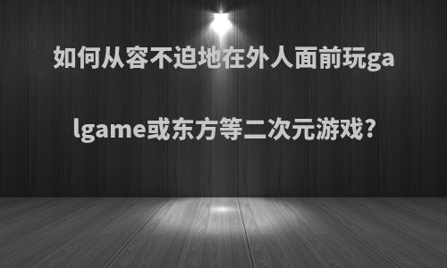 如何从容不迫地在外人面前玩galgame或东方等二次元游戏?