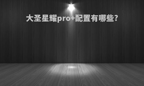 大圣星耀pro+配置有哪些?