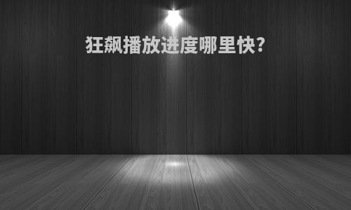 狂飙播放进度哪里快?