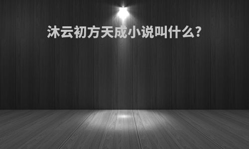 沐云初方天成小说叫什么?