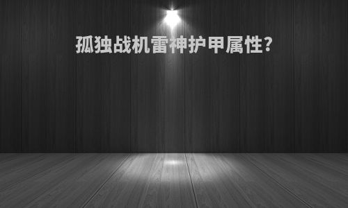 孤独战机雷神护甲属性?