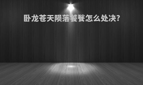 卧龙苍天陨落饕餮怎么处决?