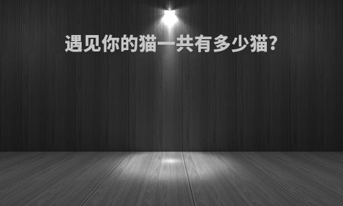 遇见你的猫一共有多少猫?