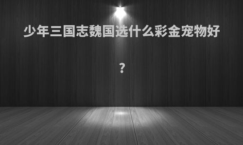 少年三国志魏国选什么彩金宠物好?