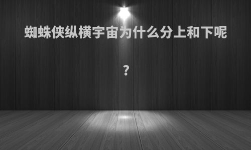 蜘蛛侠纵横宇宙为什么分上和下呢?