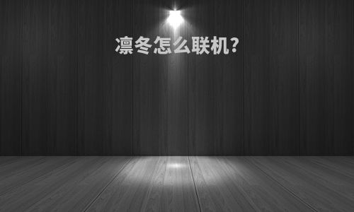凛冬怎么联机?