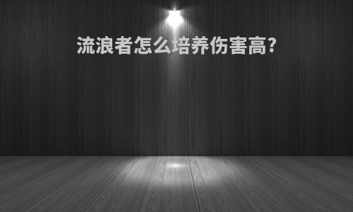 流浪者怎么培养伤害高?