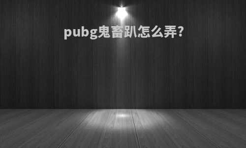 pubg鬼畜趴怎么弄?