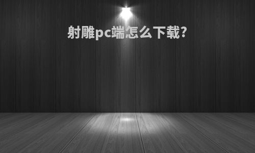 射雕pc端怎么下载?