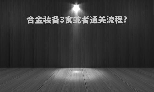 合金装备3食蛇者通关流程?