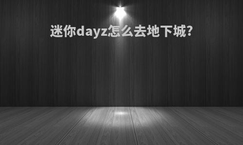 迷你dayz怎么去地下城?