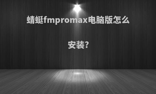 蜻蜓fmpromax电脑版怎么安装?