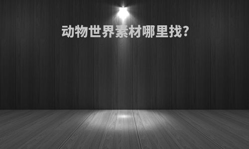 动物世界素材哪里找?