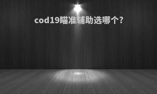 cod19瞄准辅助选哪个?