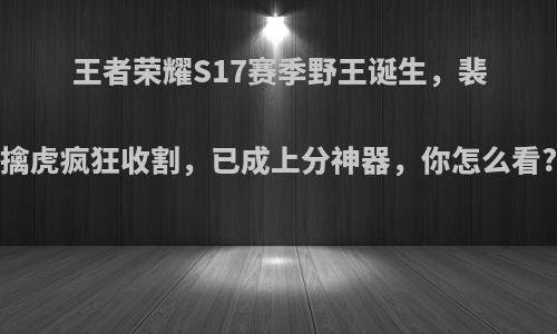 王者荣耀S17赛季野王诞生，裴擒虎疯狂收割，已成上分神器，你怎么看?