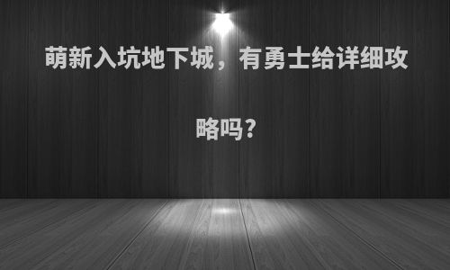 萌新入坑地下城，有勇士给详细攻略吗?