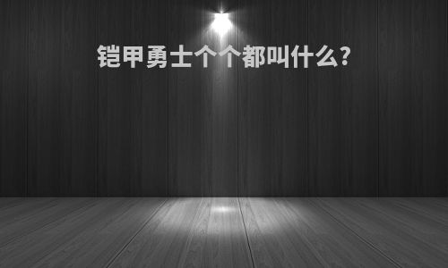 铠甲勇士个个都叫什么?