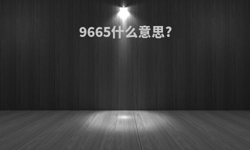 9665什么意思?