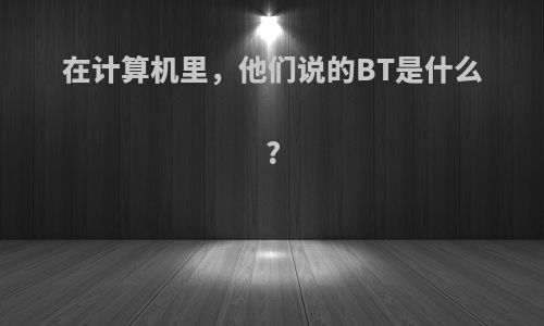 在计算机里，他们说的BT是什么?