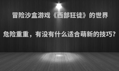 冒险沙盒游戏《西部狂徒》的世界危险重重，有没有什么适合萌新的技巧?