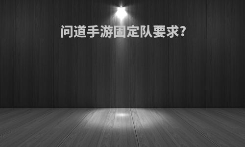 问道手游固定队要求?