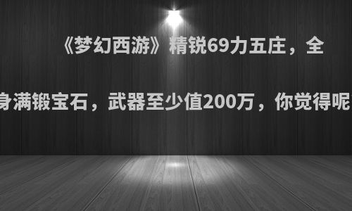 《梦幻西游》精锐69力五庄，全身满锻宝石，武器至少值200万，你觉得呢?