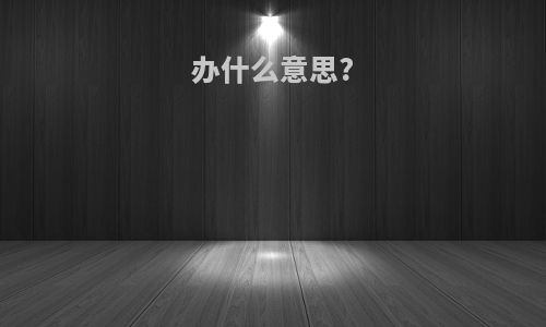 办什么意思?