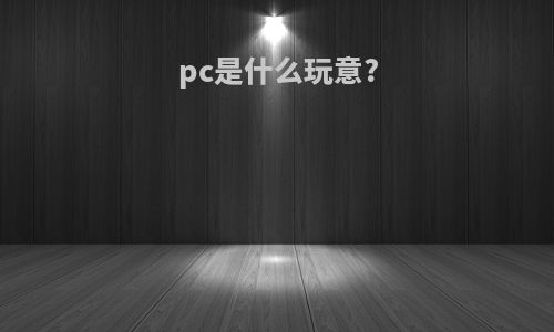 pc是什么玩意?