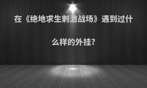 在《绝地求生刺激战场》遇到过什么样的外挂?