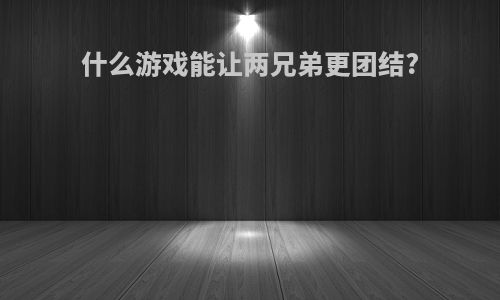 什么游戏能让两兄弟更团结?