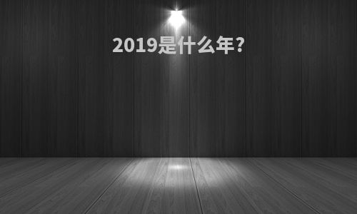 2019是什么年?