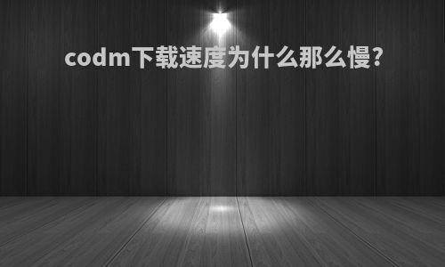 codm下载速度为什么那么慢?