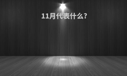 11月代表什么?